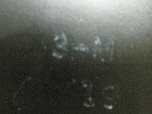 |bvM50/ POPGAL  CDI 17J-1310