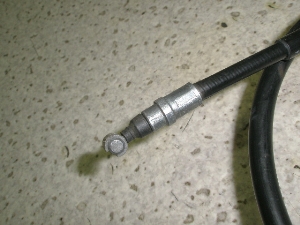 WJu/ giorcub 50 tgu[LC[ AF53-1008