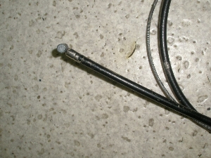 ptC50(6V)/ PALFLEY  Au[LC[ NC50-1835