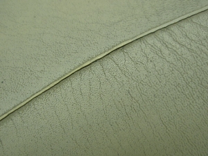 MO50/ GAG (6V) CV[g LA41A1216