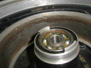 g[V[CZ125/ CZ125 g[VB/ TRACY   tgzC[^C 36F-0016