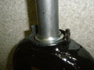 p50/ PAL  tgtH[N AF17-1413