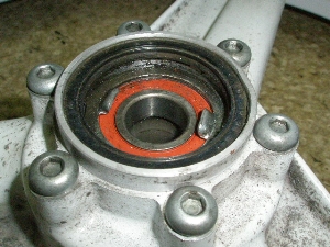 NSR250 tgzC[^C MC16-1017