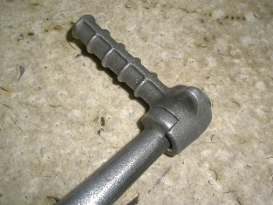 `Cm/ choinori  LbNy_ CZ41A-1566