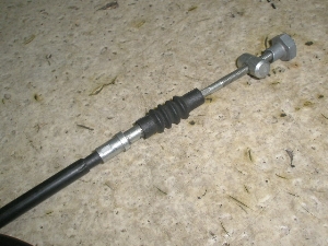 `Cm/ choinori  tgu[LC[ CZ41A-1566