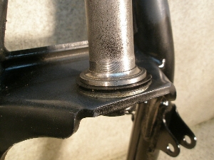 t[W 250/ FUSION  tgtH[N MF02-1201