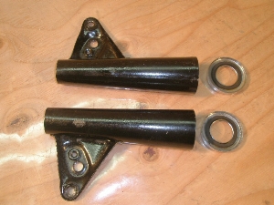CD90 CgXe[ HA03-1702