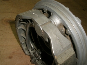 S50/ GORILLA    tgu[Lh Z50J-1603