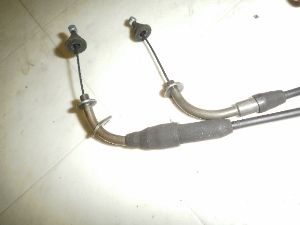 r[m50/ Vino  ANZC[ 5AU-1455