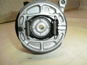 `Cm/ choinori  Au[Lh CZ41A-1354