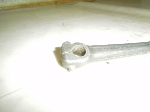 `Cm/ choinori  LbNy_ CZ41A-1354