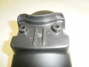 `Cm/ choinori  tgtF_[ CZ41A-1354