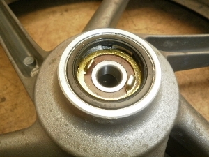 [rX250/ XELVIS250 tgzC[^C MC25-1001