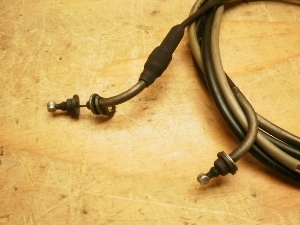 r[m50/ Vino  ANZC[ 5AU-0155