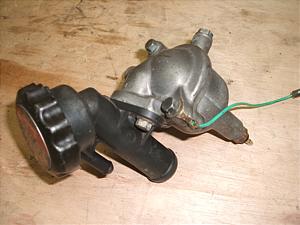 XeB[h400/ STEED  T[X^bg NC26-1308