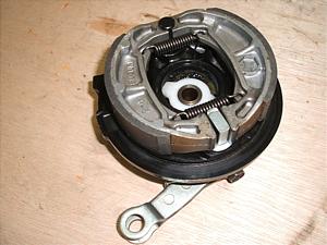 `Cm/ choinori  tgu[Lh CZ41A-1036