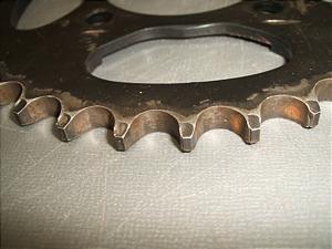 X[p[Ju50/ Super Cub/ CUB50  XvPbg C50-9902