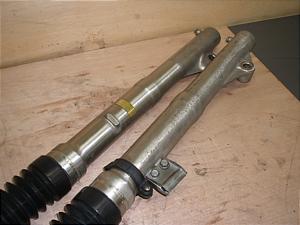 MTX200 tgtH[N MD07-1008