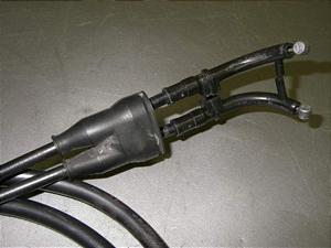 Z[225/ SEROW225 ANZC[2{ 1KH-0022
