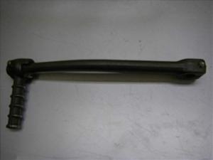 `Cm/ choinori  LbNy_ CZ41A-1125