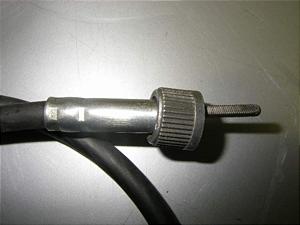 `Cm/ choinori  [^[C[ CZ41A-1125