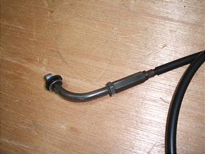 `Cm/ choinori  ANZC[ CZ41A-1207