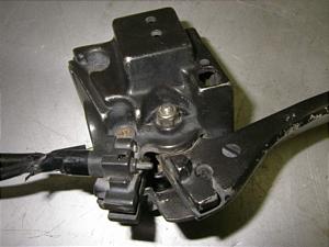 o[fB[RC50/ Birdie nhXCb`E BA13A-1031
