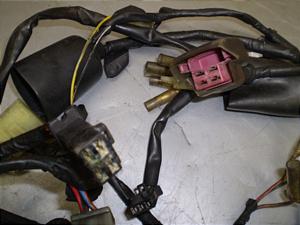 XeB[h400/ STEED  Cn[lX NC26-1103