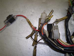 Z[225/ SEROW225 Cn[lX 4JG-1093