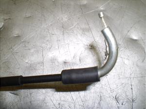 `Cm/ choinori  `[NC[ CZ41A-1555