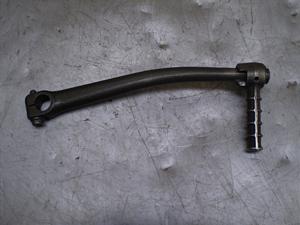 `Cm/ choinori  LbNy_ CZ41A-1555