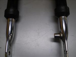 `Cm/ choinori  tgtH[N CZ41A-1497