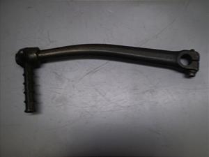 `Cm/ choinori  LbNy_ CZ41A-1497