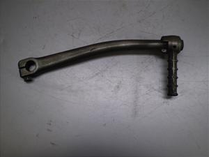 `Cm/ choinori  LbNy_ CZ41A-1763