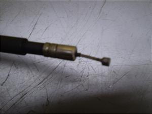 `Cm/ choinori  `[NC[ CZ41A-1763