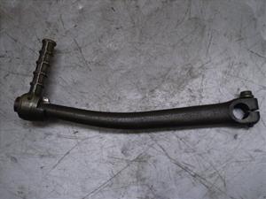 `Cm/ choinori  LbNy_ CZ41A-1107