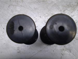 `Cm/ choinori  ObvE CZ41A-1107