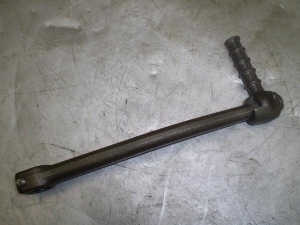 `Cm/ choinori  LbNy_ CZ41A-1017