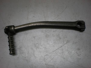 `Cm/ choinori   LbNy_ CZ41A-1635
