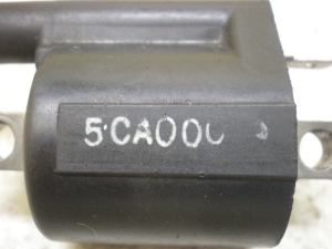 }WFXeB125/ MAJESTY COjbVvOR[h 5CA-1185