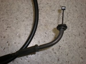 `Cm/ choinori  ANZC[ CZ41A-1075