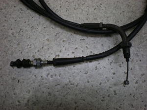 DioZX50/ fBI/ CufBIZX/ LIVE DIO ZX  (12V) ANZC[(2A) AF35-1599