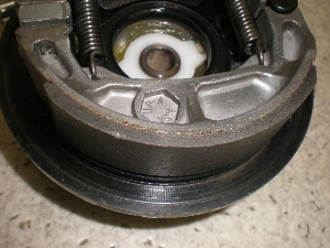 `Cm/ choinori  tgu[Lh CZ41A-1452