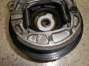 `Cm/ choinori  tgu[Lh CZ41A-1157