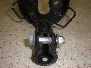 `Cm/ choinori  nh CZ41A-1389
