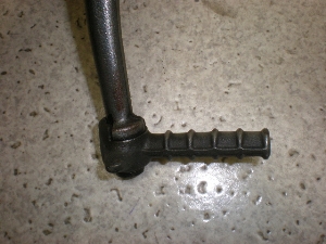`Cm/ choinori  LbNy_ CZ41A-1389