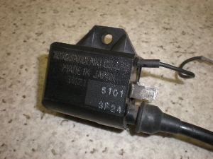 `Cm/ choinori  COjbVvOR[h CZ41A-1389