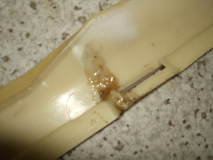 gCV[CZ125/ CZ125 g[VB/ TRACY  TCh[ 36F-0023