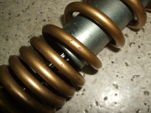 ZsAZZ/ SEPIA ATXyV CA1PB-1065