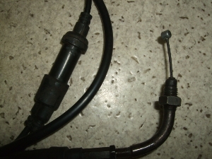 fBIZX50/ DIO ZX  ANZC[ AF35